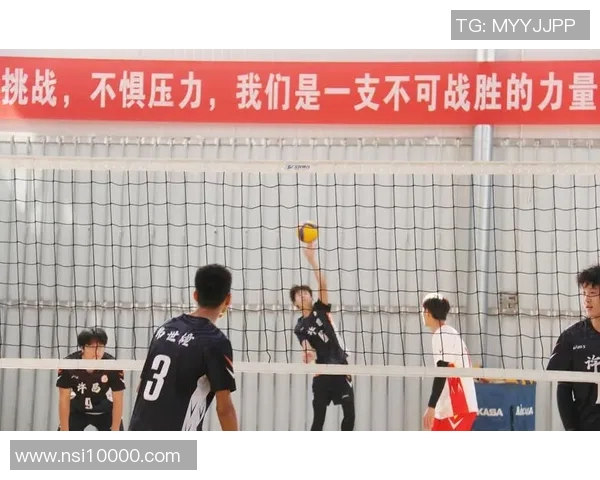 重庆排球队协同进化探讨团队配合的新模式与挑战