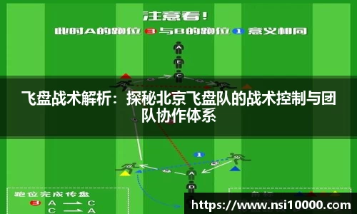 飞盘战术解析：探秘北京飞盘队的战术控制与团队协作体系